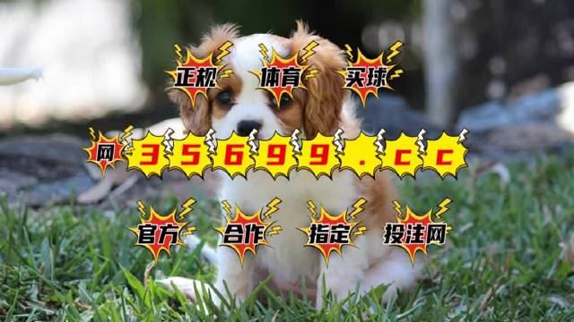 2024澳门特马今晚开奖亿彩网,专业数据解释定义_tShop40.331