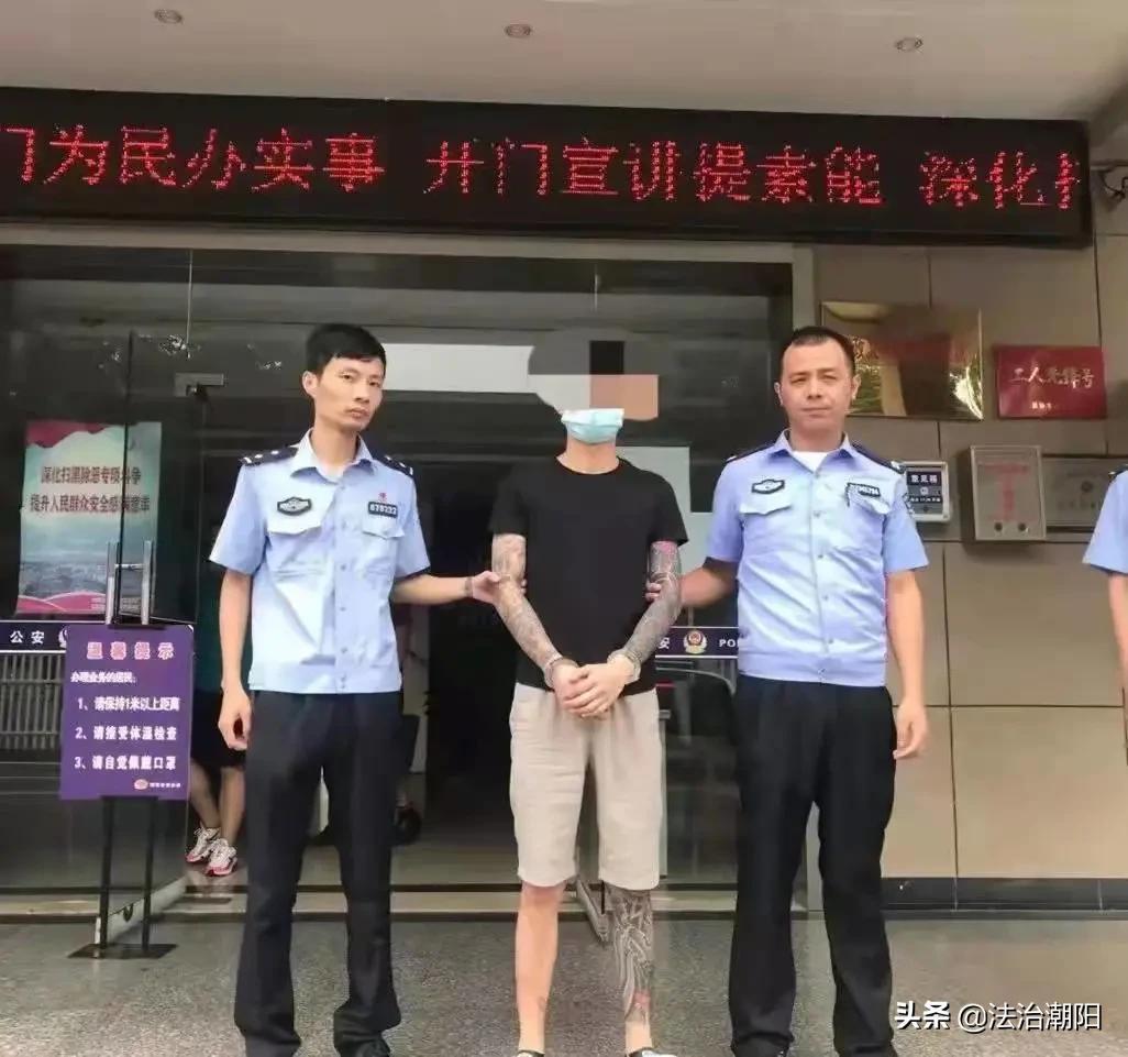 铜官山区公安局发展规划，构建现代化警务体系，提升社会治理效能新举措