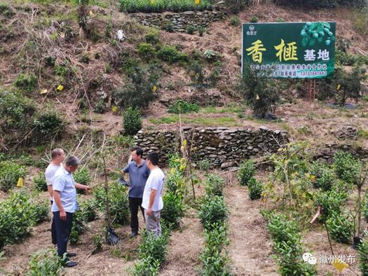 富溪乡新领导团队引领未来，共筑乡村发展新篇章