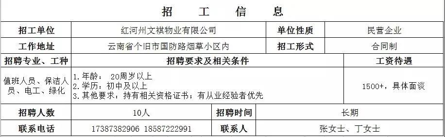 个旧市初中最新招聘公告概览