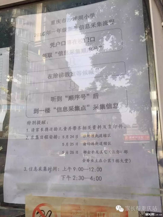 沙坪坝区小学人事任命揭晓，开启教育新篇章