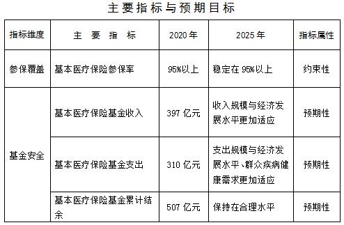 寿宁县医疗保障局最新发展规划概览